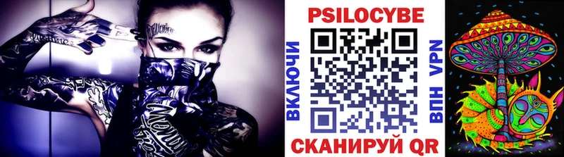 Купить  Баймак  Псилоцибиновые грибы Psilocybine cubensis 